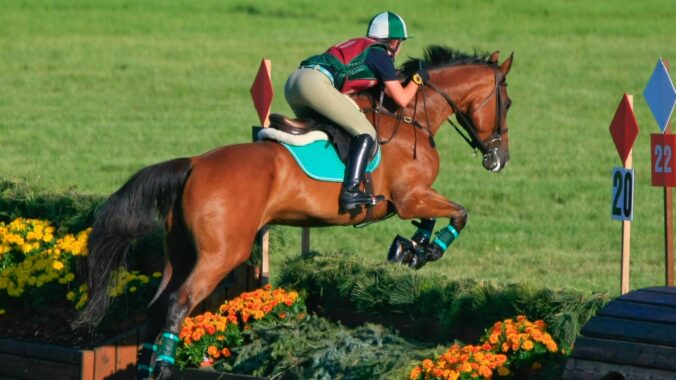 Equine Law Essentials: Liability, Business Protection, and Growth Strategies (2026 Edition)