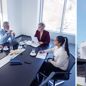 Divorce Planning & Litigation: A Cross-Disciplinary Playbook